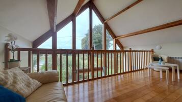 Televisión, reproductor de DVD, libros, videoteca