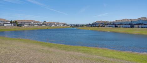 A residential area with a lake, houses, and a dock.