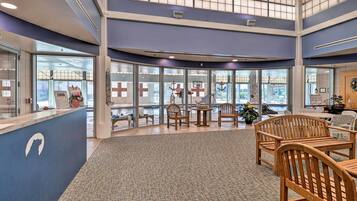 Apartment (3 Bedrooms) | Interior