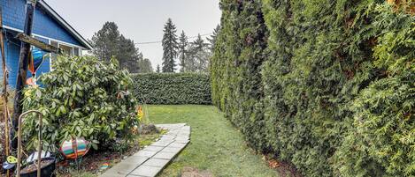 A garden with a hedge, a pathway, and a house with a blue roof.