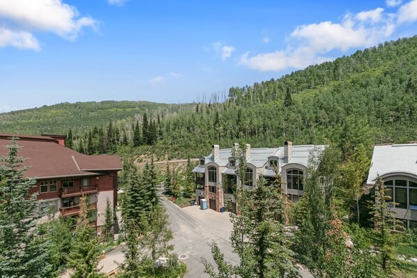 Un lodge con varias edificaciones, rodeado de un bosque denso y una montaña al fondo.