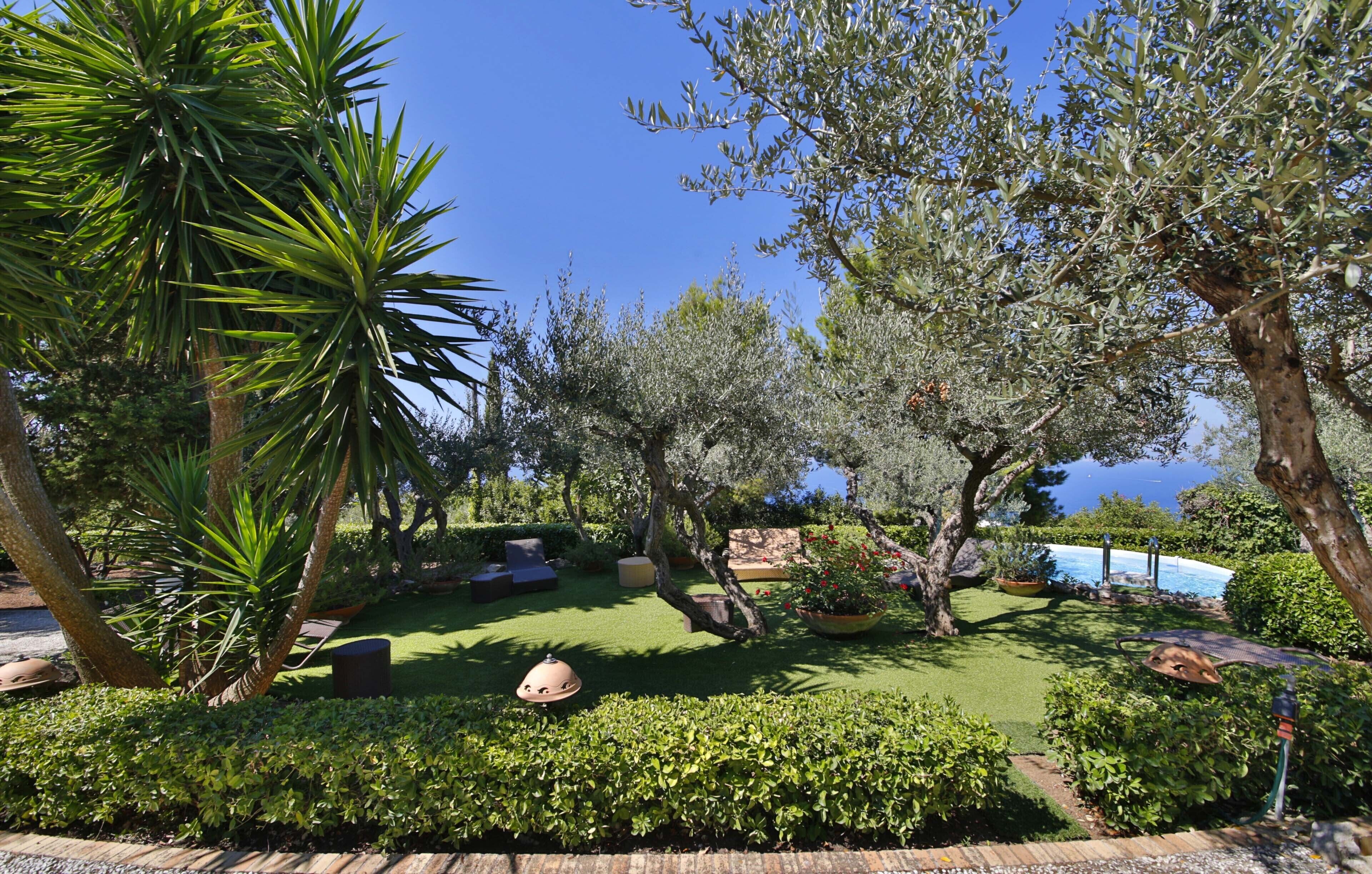 A landscaped garden with various plants, a pool, and outdoor seating.