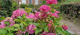 Lovely 2-bed Cottage in Coalbrookdale Telford