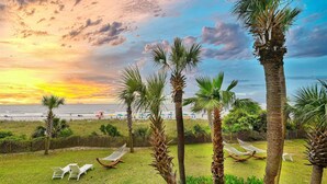 A beach view with palm trees, a hammock, and a fence.