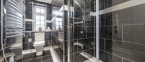 Shower, hair dryer, towels