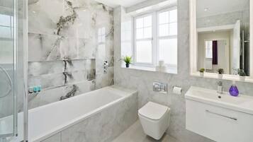 Shower, hair dryer, towels, shampoo