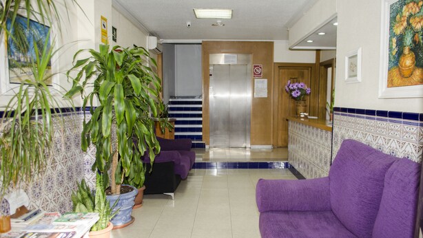 A reception area with a purple sofa, potted plants, a tiled floor, and a staircase leading to an elevator. - Pensión Pardo (Benidorm)