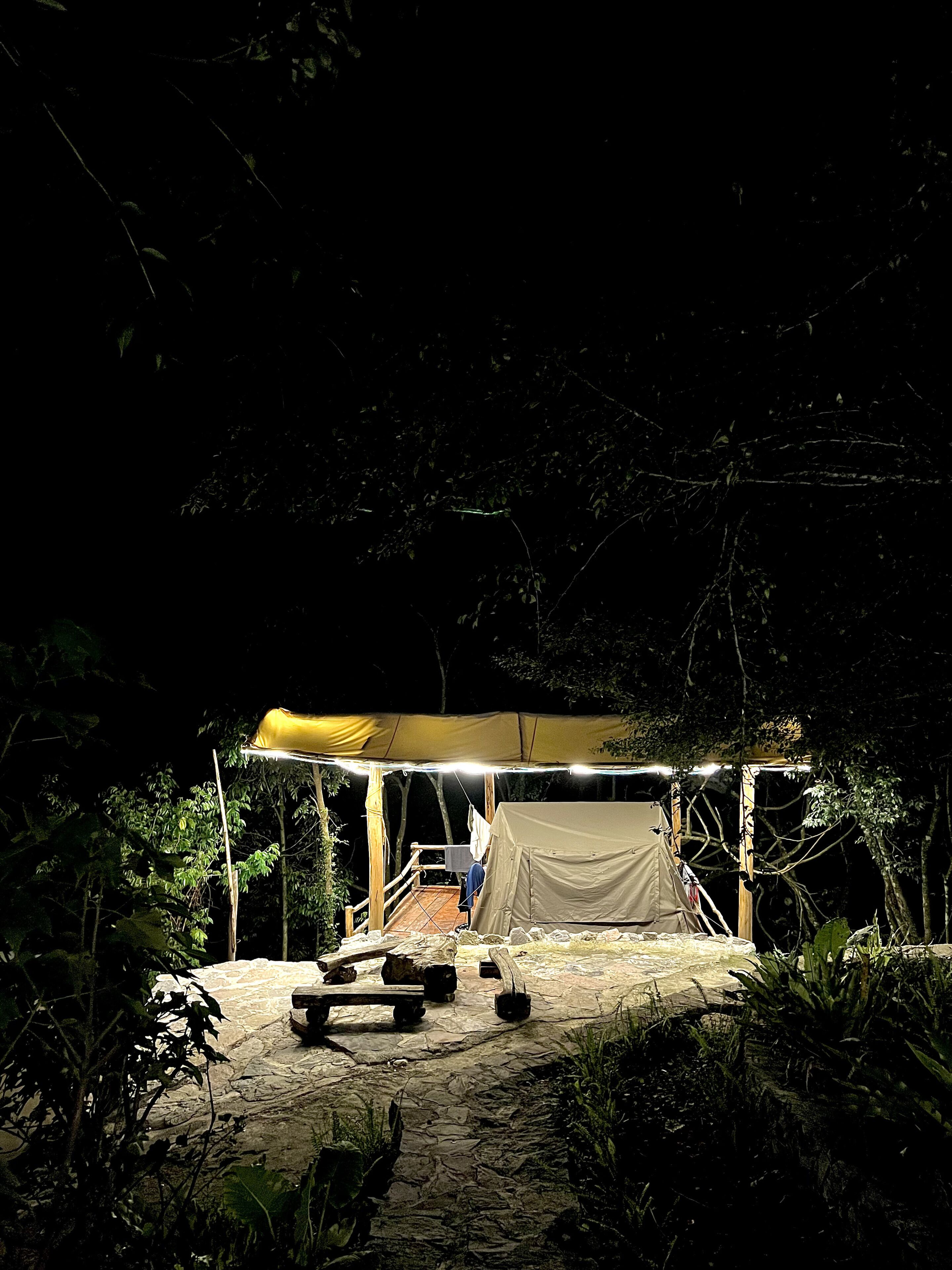 A tent set up on a stone pathway surrounded by greenery, with a bench and a table nearby.