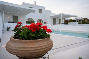 Ein modernes, weißes Gebäude mit Pool und einem großen Pflanzgefäß im Vordergrund, das rote Blumen enthält.
