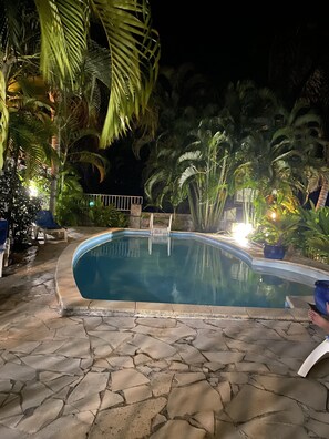 Una piscina con plataforma de piedra, rodeada de palmeras y plantas, y una valla al fondo.