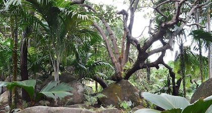 Cashew Nut Grove Chalets
