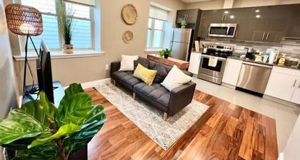 501 Cozy and Comfy 1BR apartment in center city