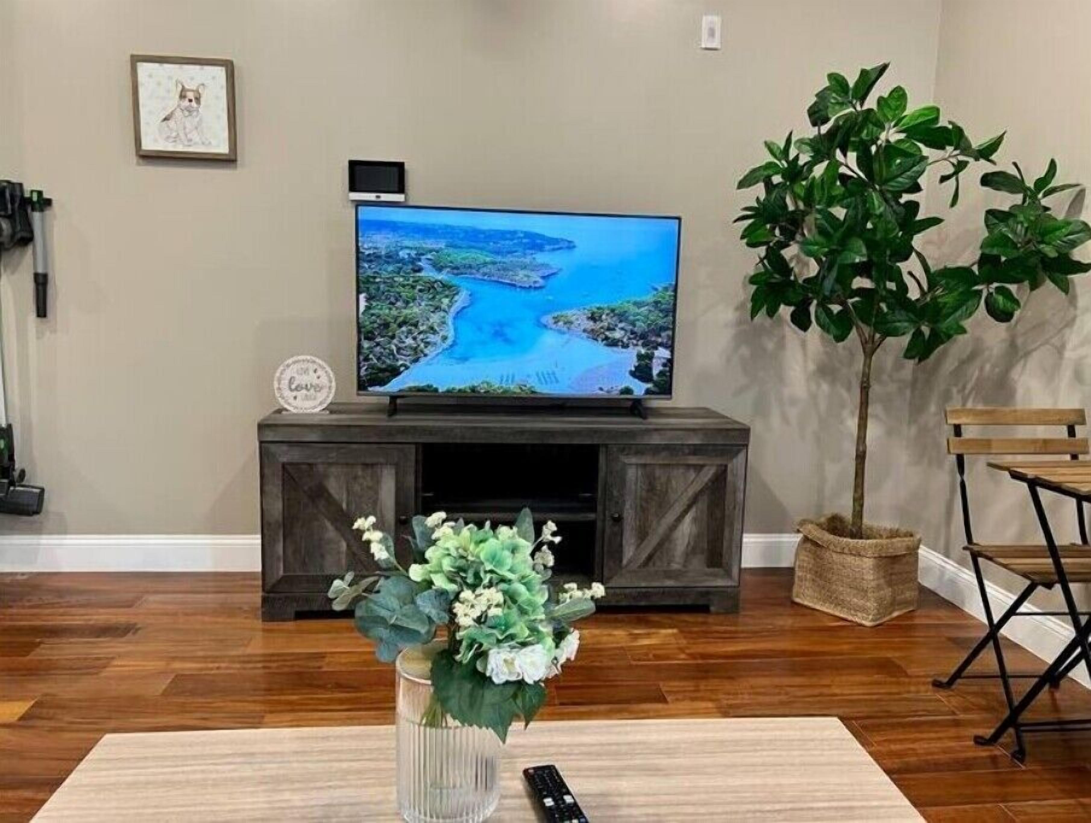 Un salon avec un téléviseur posé sur un meuble en bois, une plante et une télécommande sur un tapis.
