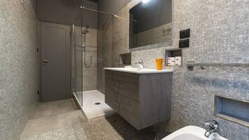 Shower, hair dryer, bidet, towels