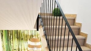 A staircase with a bamboo garden at the base, a black metal railing, and a small potted plant at the bottom. - Ecorooms (Ferrara)