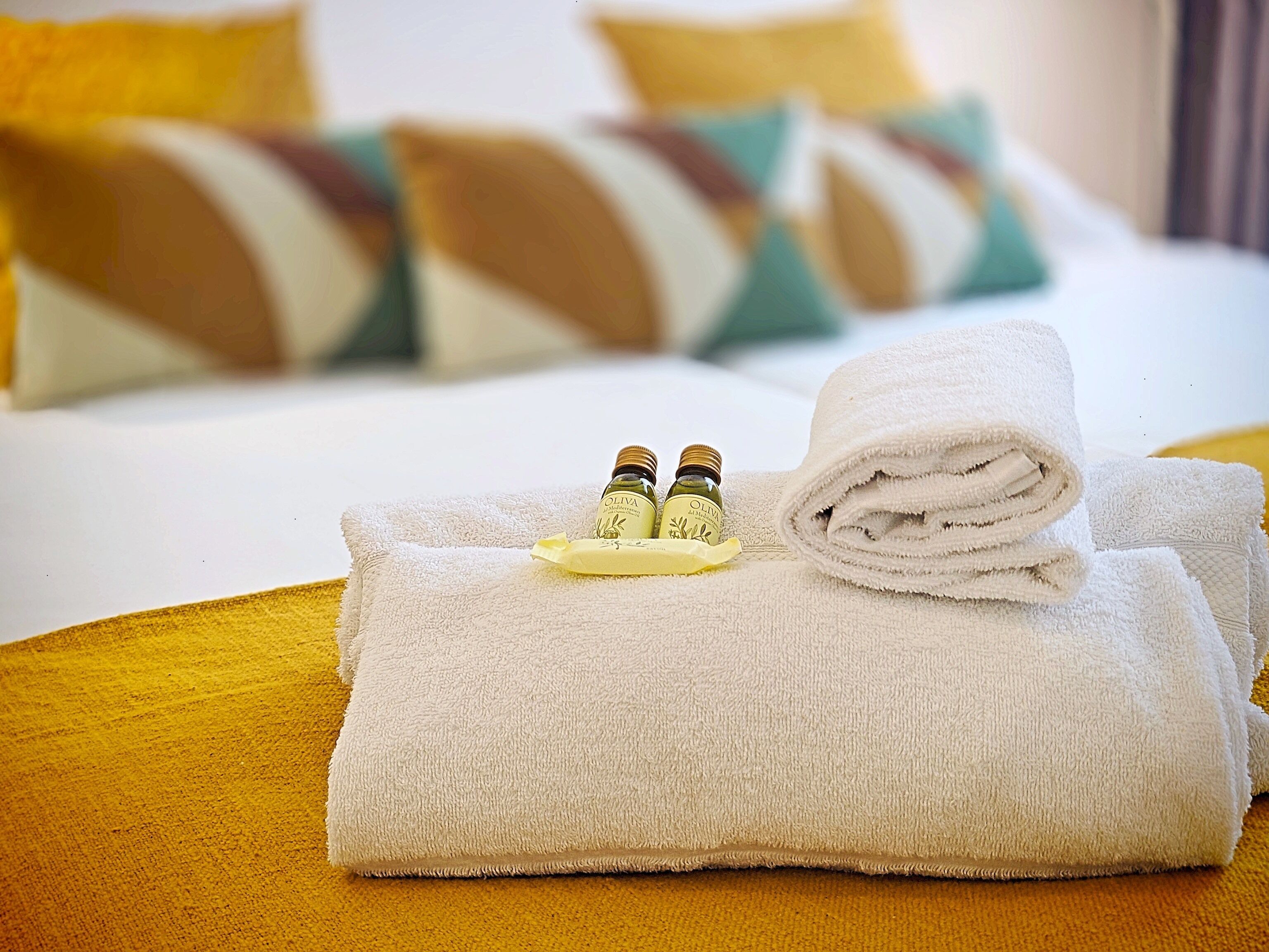 1 chambre, fer et planche à repasser, literie fournie