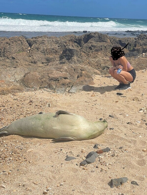 Strandtücher