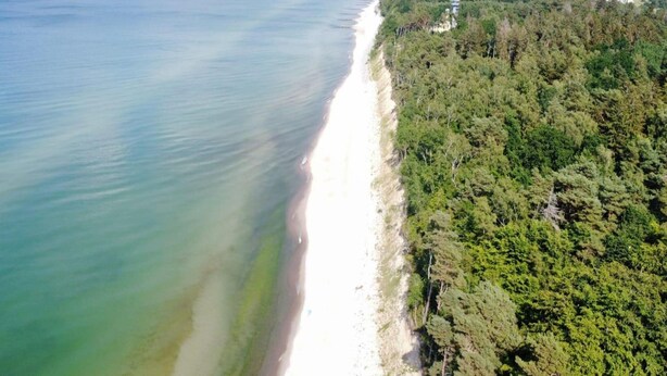 An aerial view of a coastal area with a beach, dense forest, and a lighthouse.