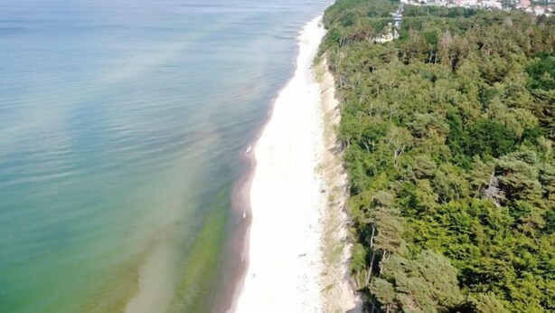 An aerial view of a coastal area with a beach, dense forest, and a wind turbine. - Holiday Home in Niechorze near Lighthouse (Niechorze)
