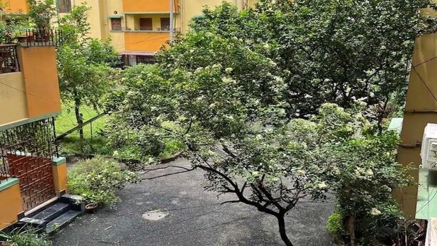 A courtyard with a tree in the center, surrounded by buildings with balconies. - Home away from Home in a city with Garden View. 
Experience the magic yourself (Kolkata)