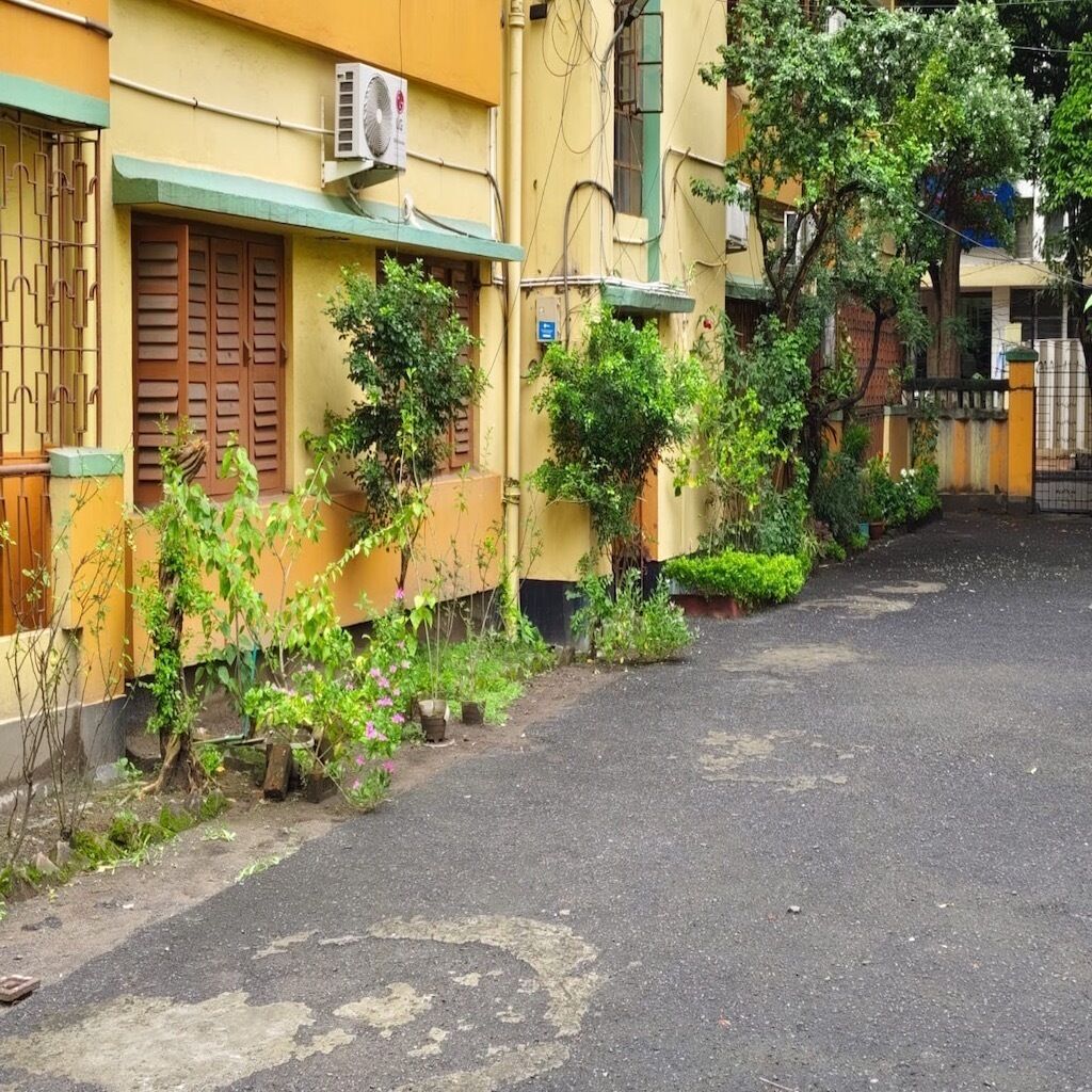 A residential street with houses, a paved road, and greenery.