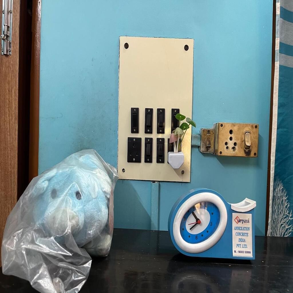 A wall-mounted electrical panel with multiple switches and a small plant holder.