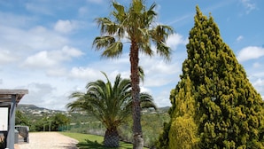 Un chemin pavé mène à un bâtiment agrémenté d’une pergola, qui est entouré de palmiers et d’un grand arbre à feuilles persistantes.