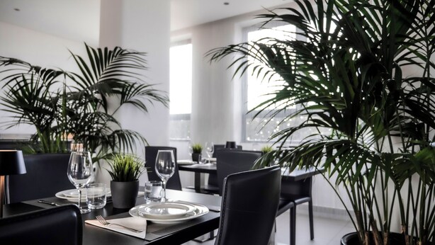 Un área de comedor moderna con mobiliario negro, una mesa de vidrio y plantas en macetas.
