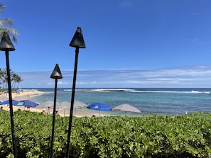 Serviettes de plage
