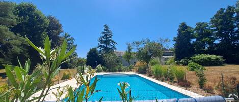 A swimming pool surrounded by greenery and a house in the background.