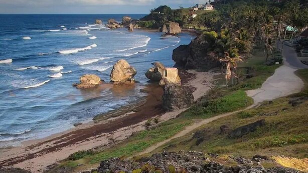 A coastal landscape with a beach, rocky outcrops, and a path leading to a building.