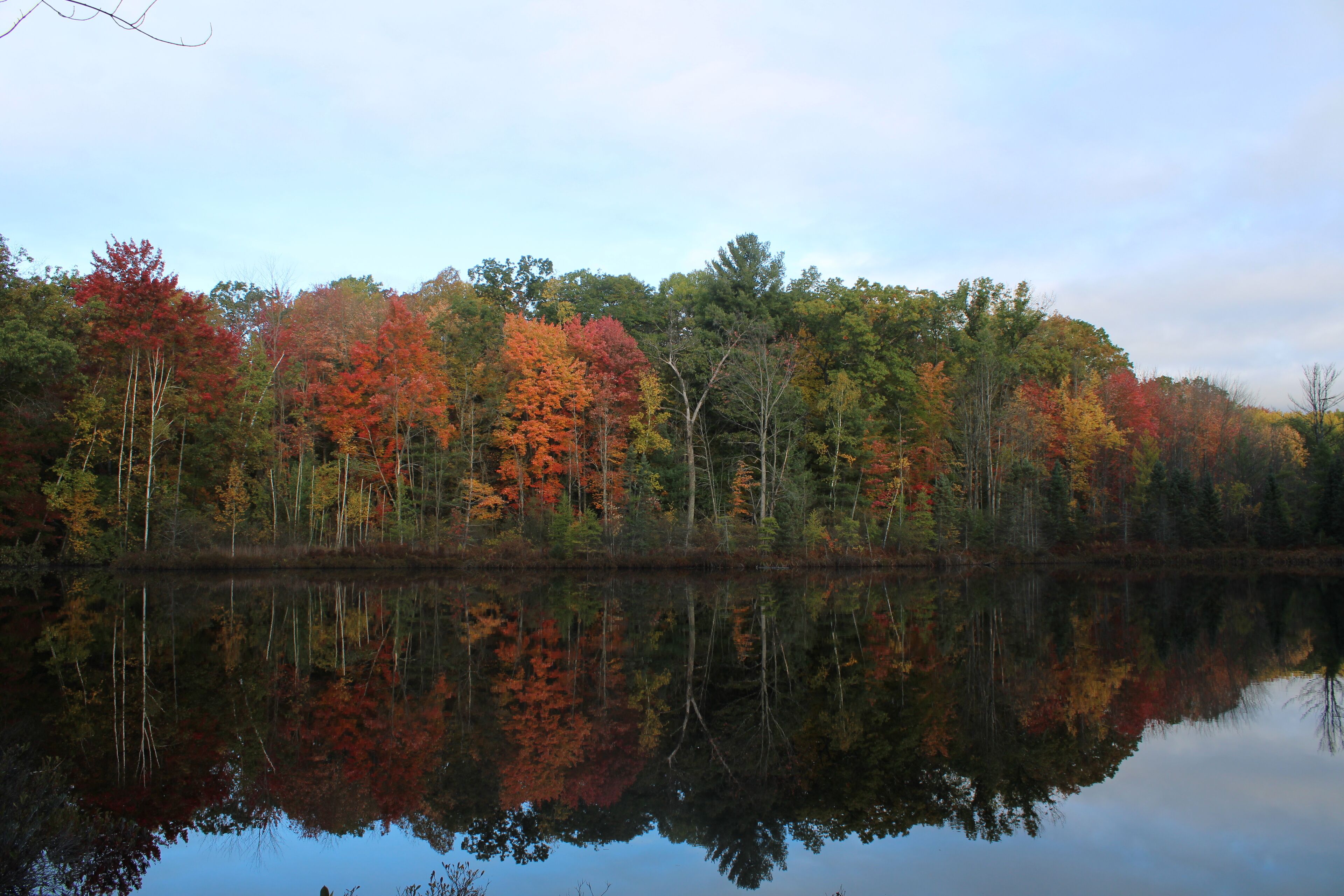 Gottaway Lake House - a wooded retreat situated on a spacious 8-acre property.