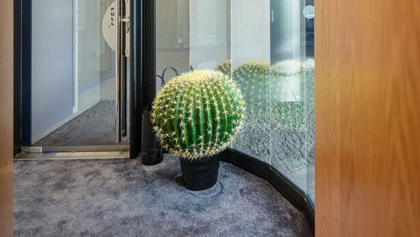 A hallway with a glass partition, a cactus plant, and an emergency exit sign.