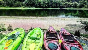 Three kayaks lined up on a gravel shore by a calm lake with dense forest in the background.