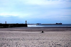 Ein Strand mit einem Steg und einem Schiff in der Ferne.
