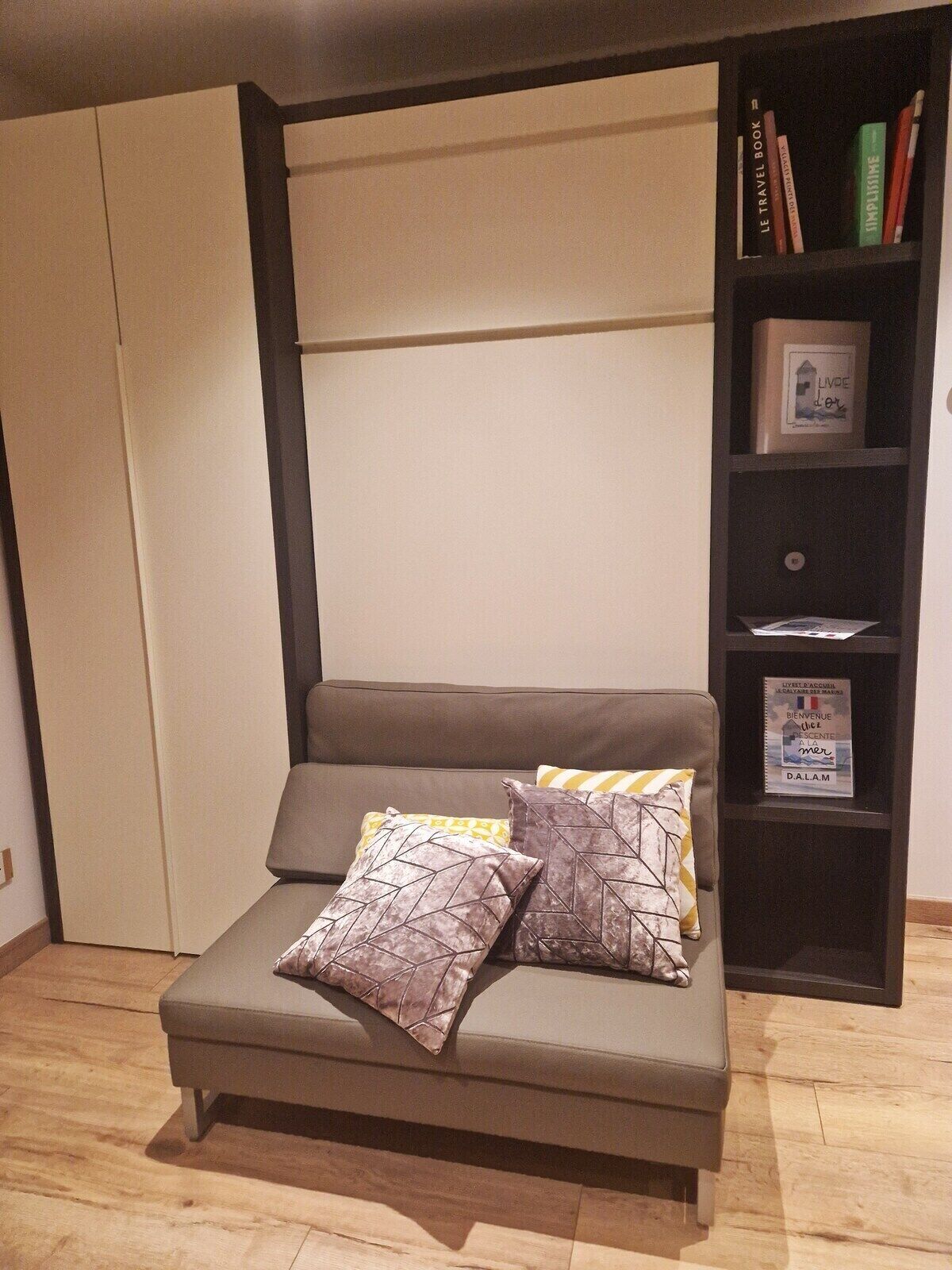 TV, DVD player, books, video library