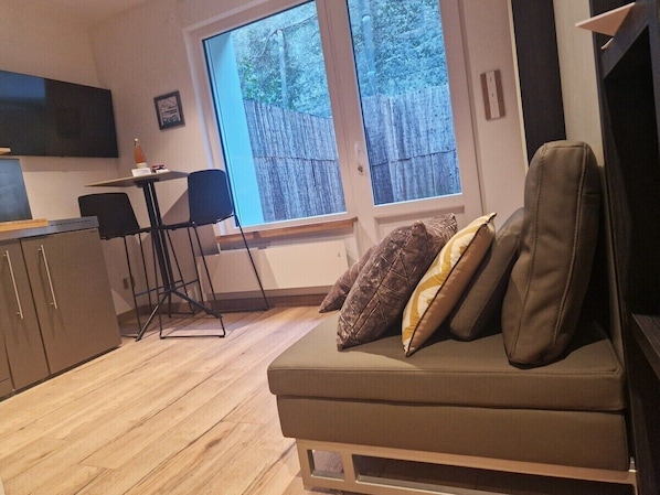 TV, DVD player, books, video library