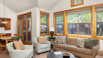 Smart TV, fireplace, books