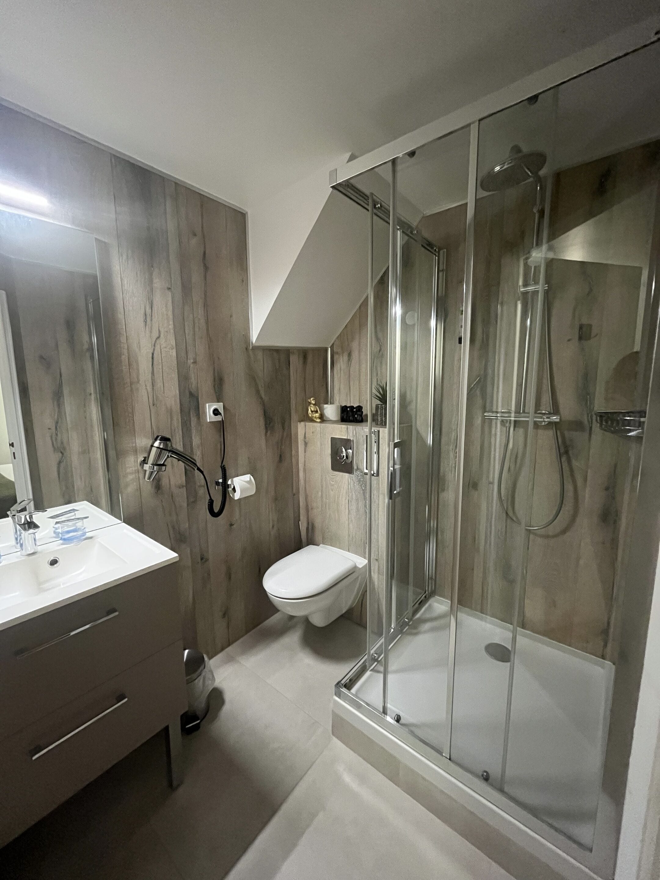 Une salle de bain moderne avec une douche à parois de verre, un lavabo blanc et des toilettes.