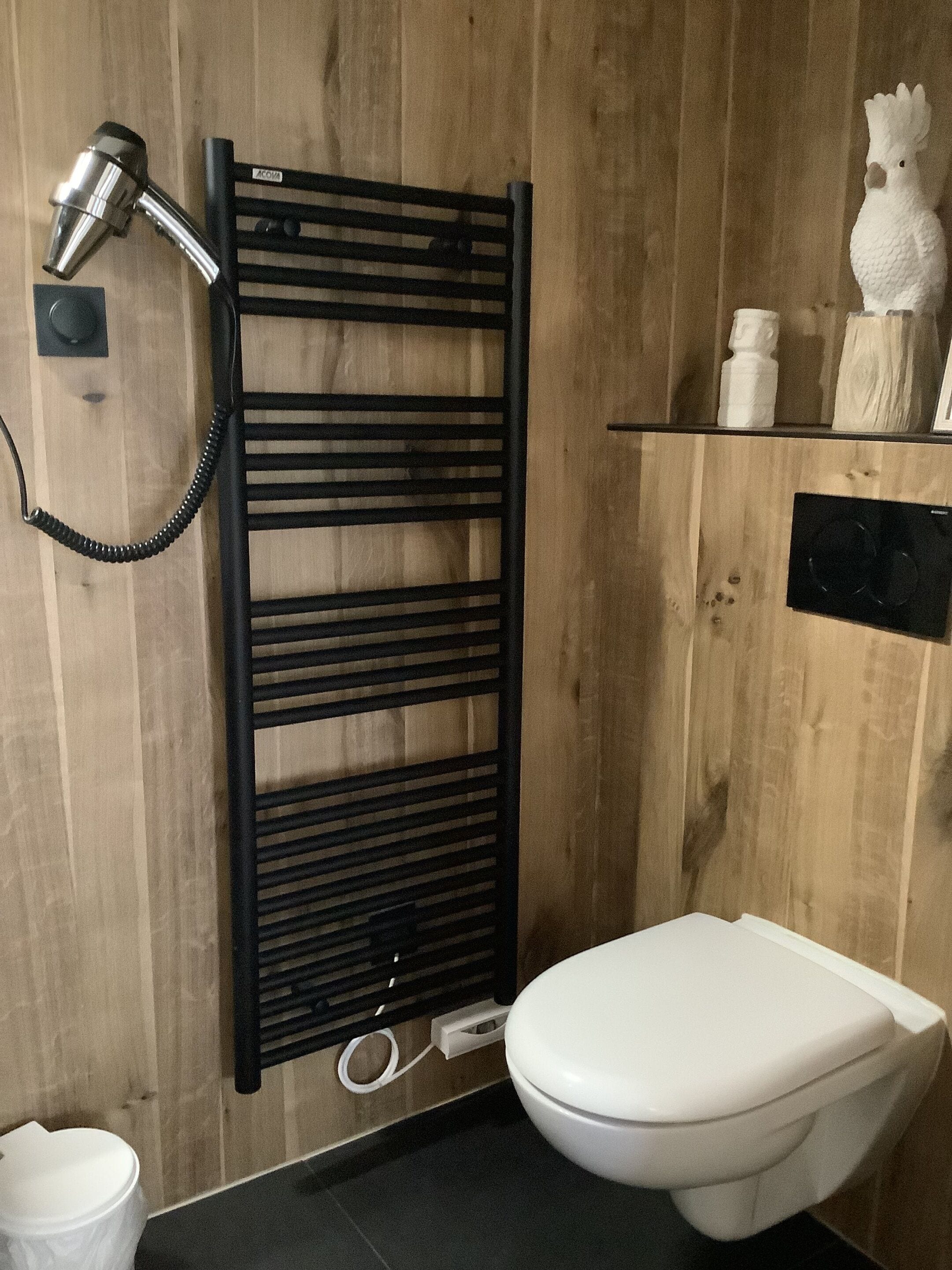 A bathroom with a black towel rack, a white toilet, and a shower head mounted on the wall.