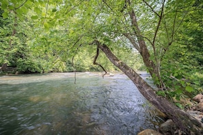 Um rio serpenteando por uma área arborizada, com árvores e pedras nas margens.