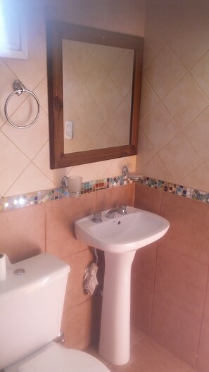 A bathroom with a toilet, sink, and mirror. - Complejo de Cabañas Tierra de Luna  (Potrerillos)