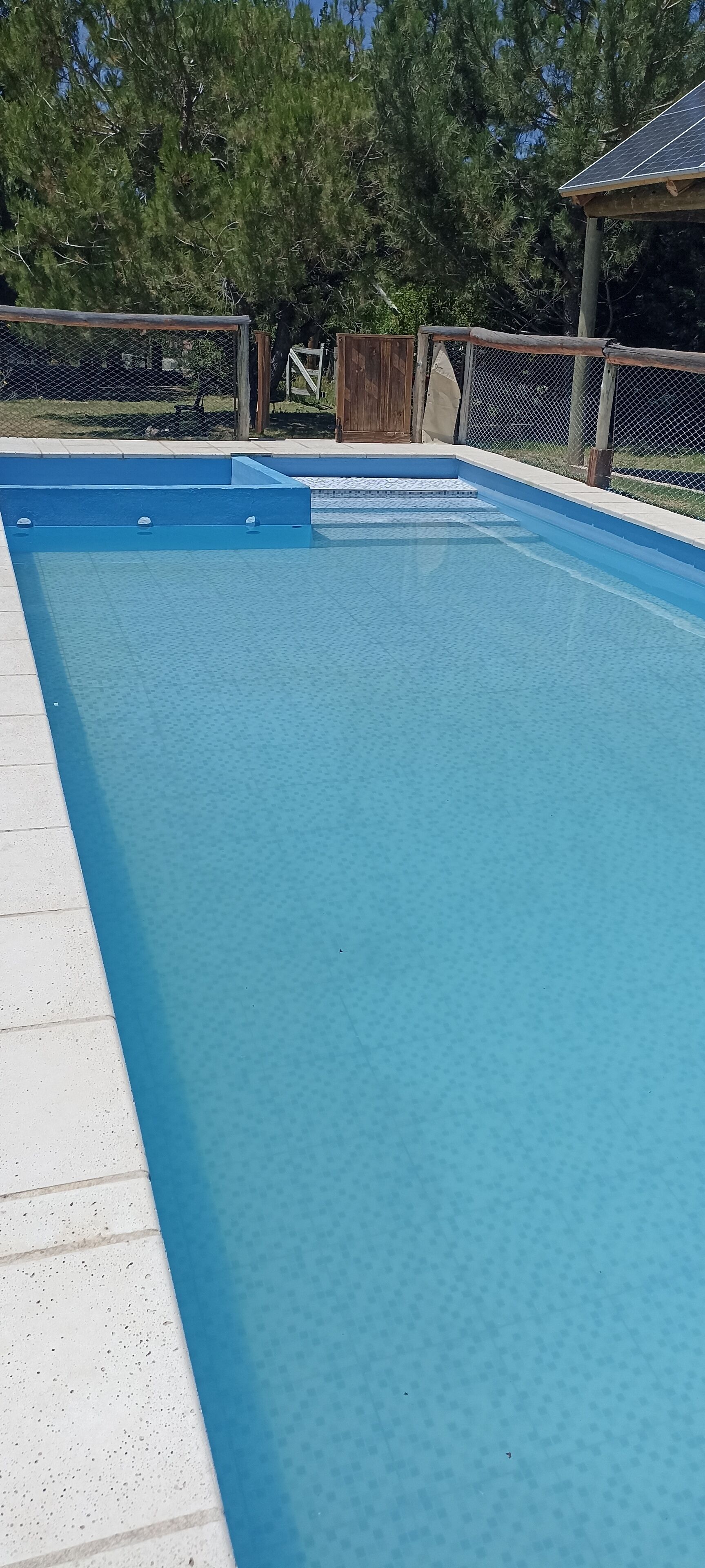 Una piscina azul cristalina con borde de baldosas blancas, rodeada por una valla de madera y árboles al fondo.