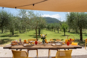 A table set outdoors with breakfast items, surrounded by chairs, and overlooking a lush orchard. - A typical Italian Villa in the center of Italy.  (spoleto)