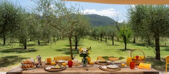 A typical Italian Villa in the center of Italy. 