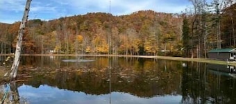 Glamping safari tent overlooking pond with woodstove.  Kid and pet friendly.