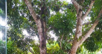 Casa Verde Paz , Natureza e SilĂȘncio, Perto da Praias, Longe da ConfusĂŁo