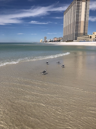 Check out Deals for “PRIME TIME SUMMER”