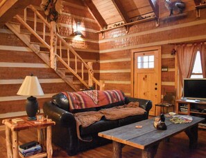 Smart TV, fireplace, DVD player, books