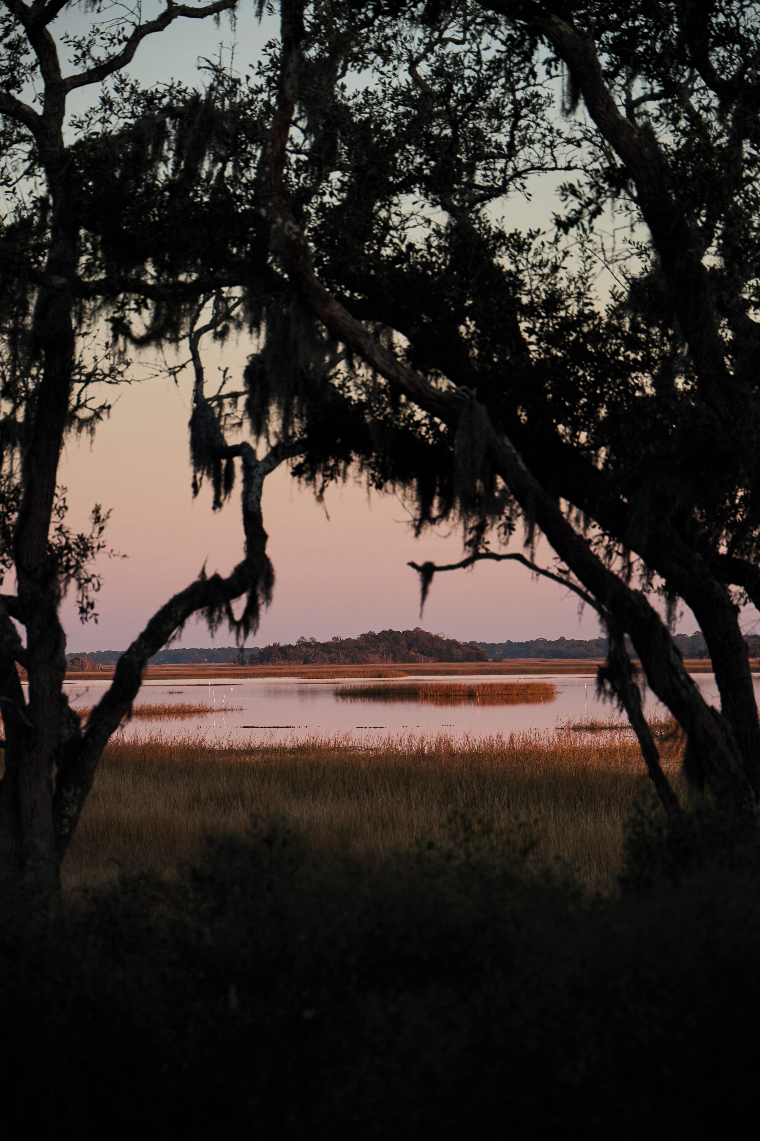 A natural landscape with trees and a body of water.